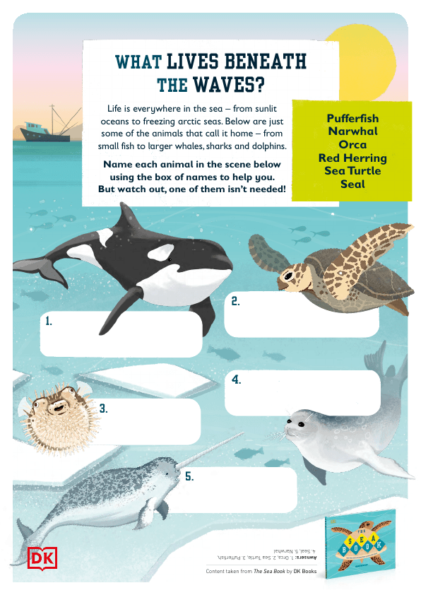 The Sea Book Activity Pack